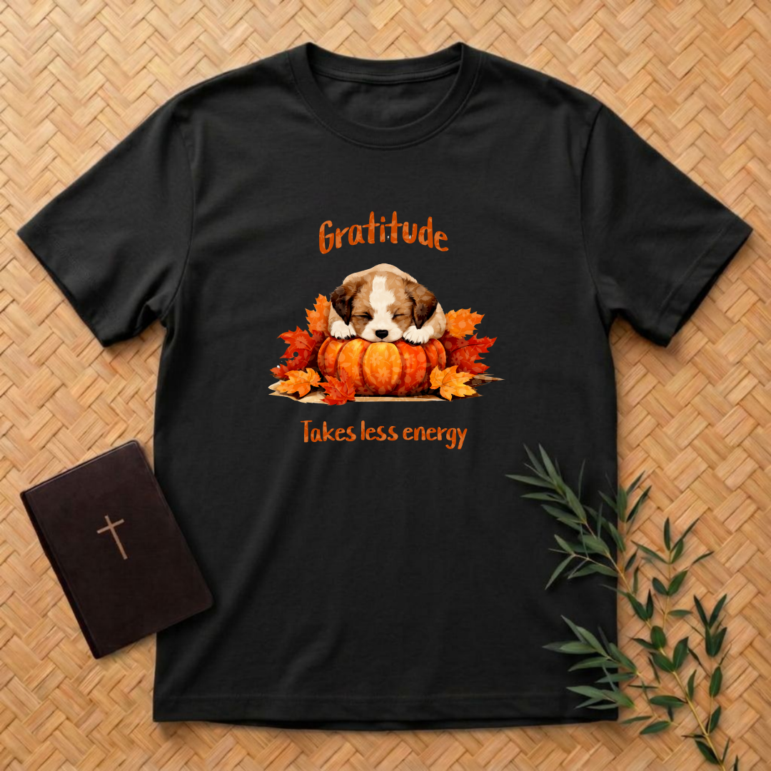 Gratitude Takes Less Energy T-Shirt