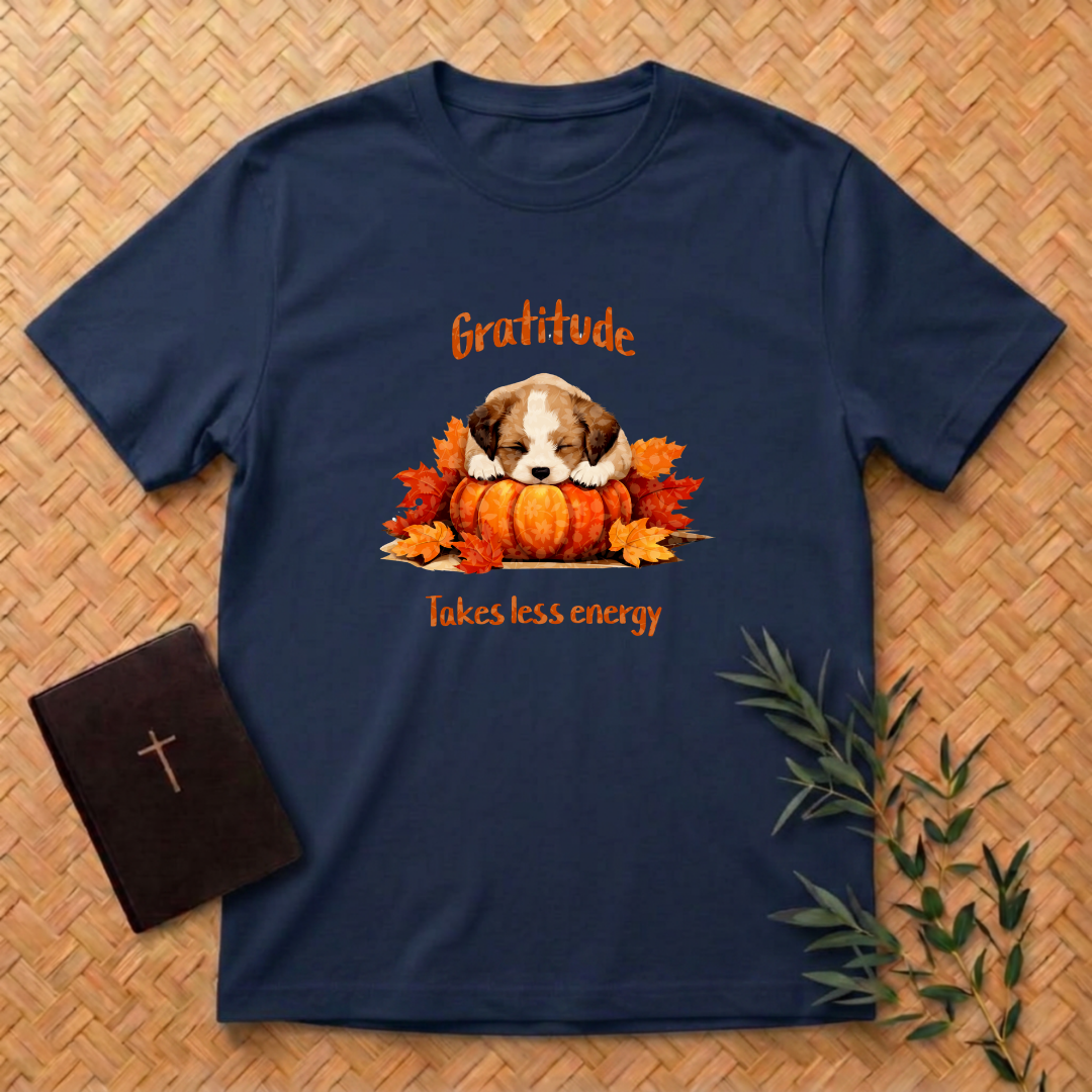 Gratitude Takes Less Energy T-Shirt