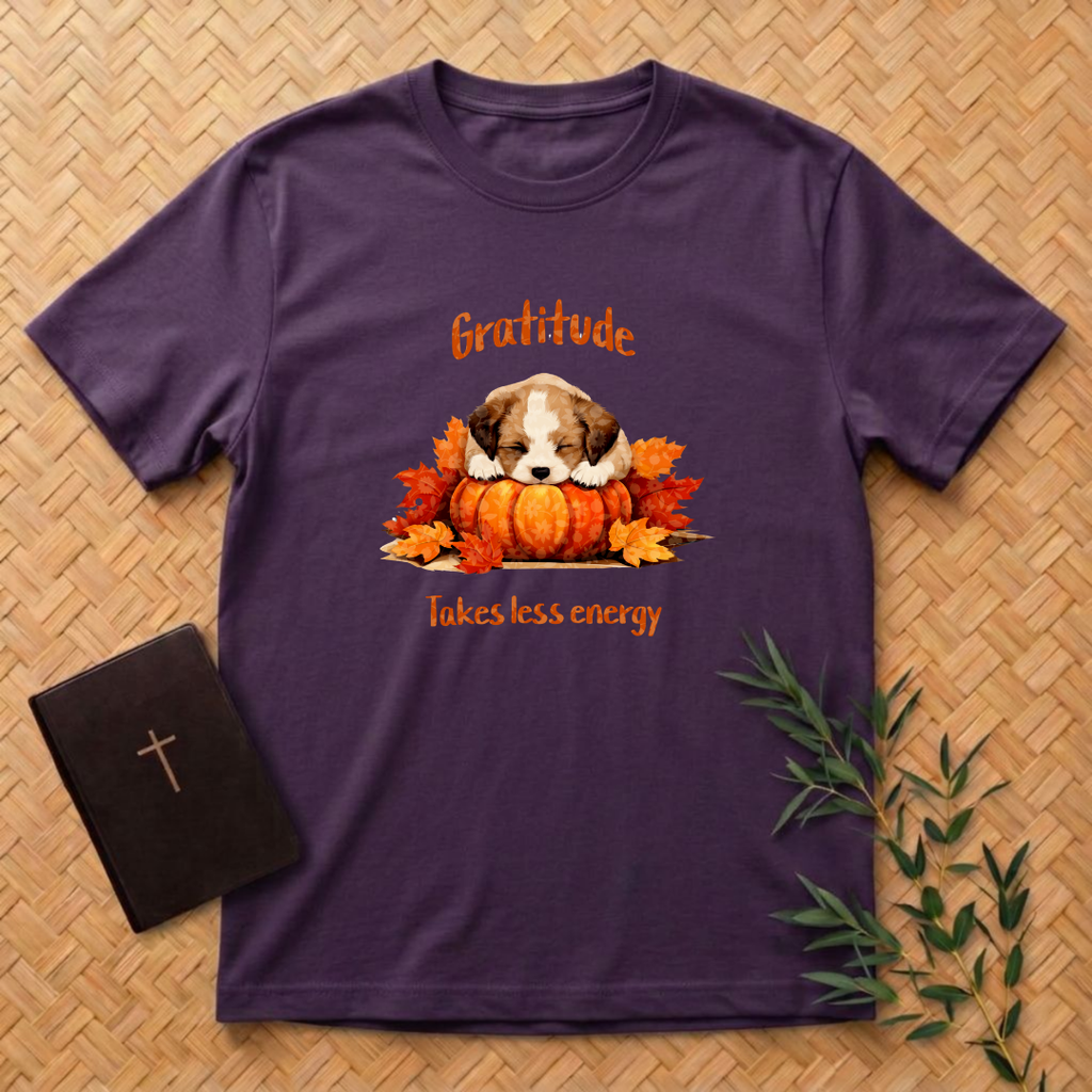 Gratitude Takes Less Energy T-Shirt